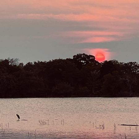 Yala Lake View Cabanas 티사마하라마 외부 사진