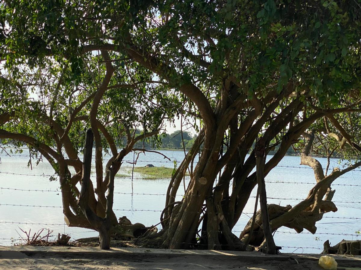 Yala Lake View Cabanas 티사마하라마 외부 사진