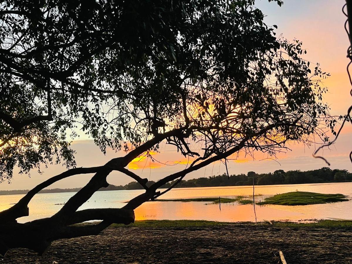 Yala Lake View Cabanas 티사마하라마 외부 사진