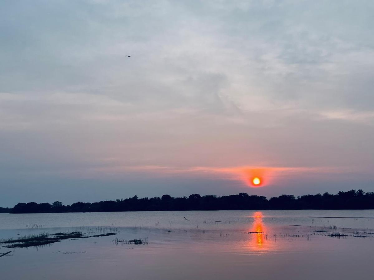 Yala Lake View Cabanas 티사마하라마 외부 사진