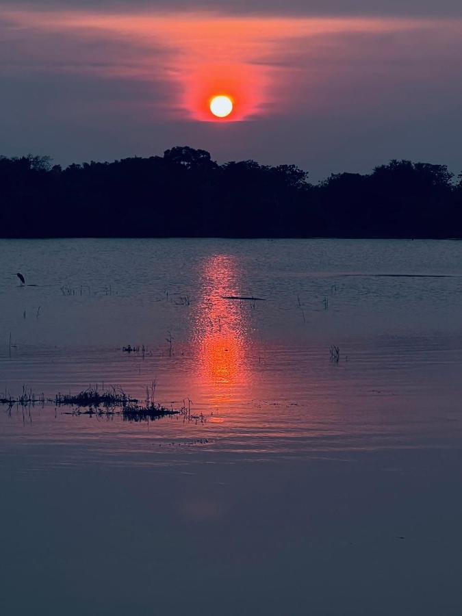Yala Lake View Cabanas 티사마하라마 외부 사진